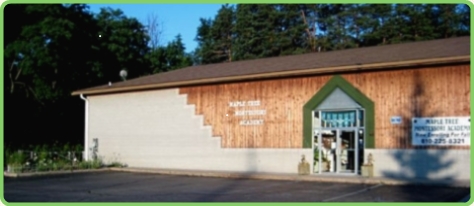 Maple Tree Montessori Brighton Michigan