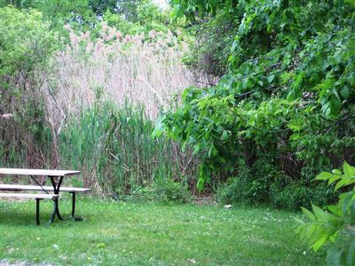 Picnic Area Outside Our Brighton Location