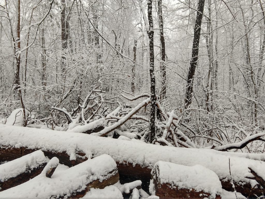 IMG 20180301 140147788 HDR