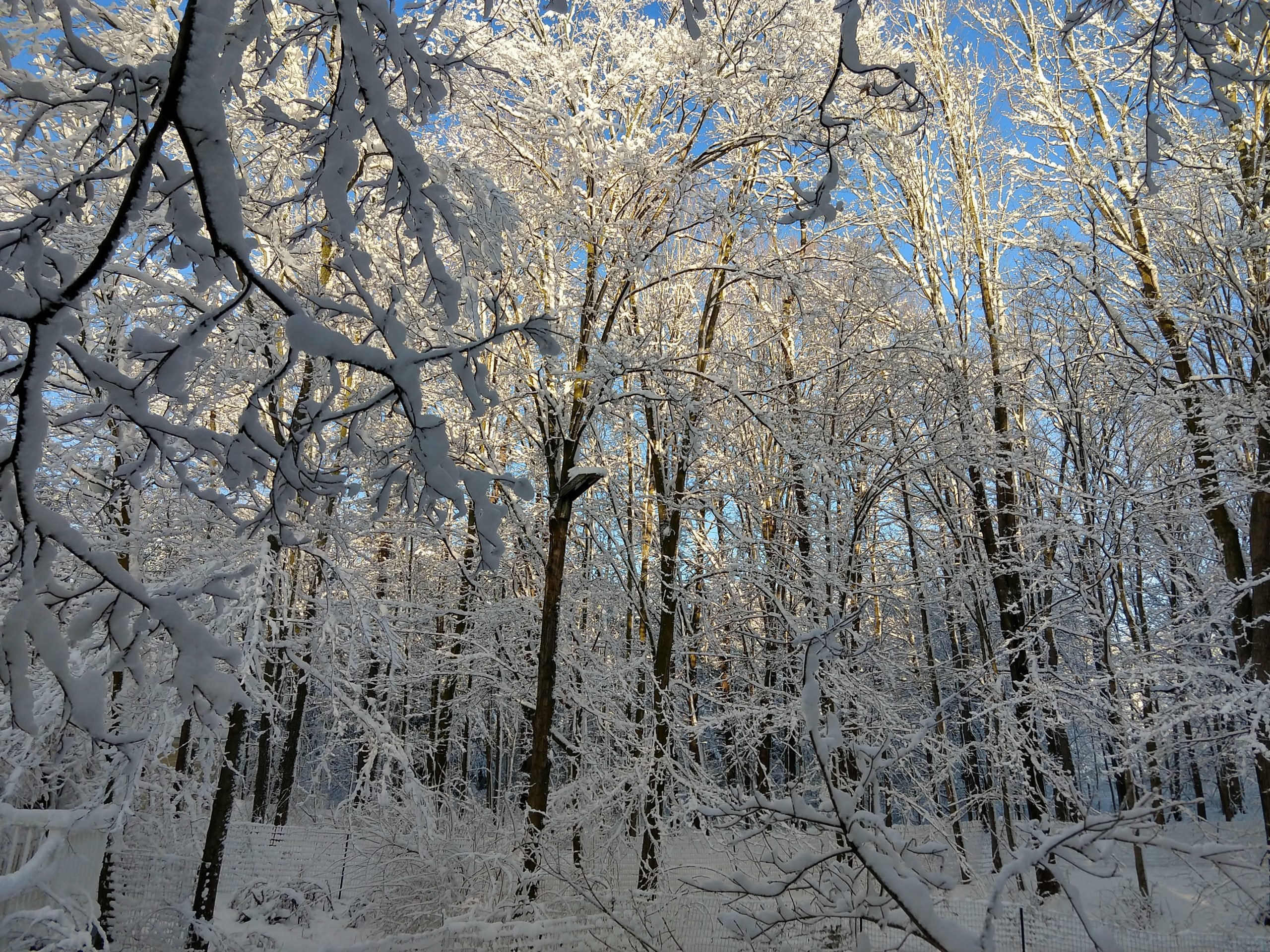 IMG_20180302_082135055_HDR IMG 20180302 082135055 HDR