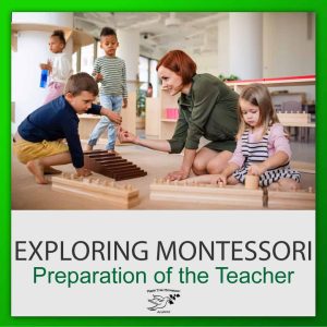 Product thumbnail showing a Montessori Teacher interacting with students